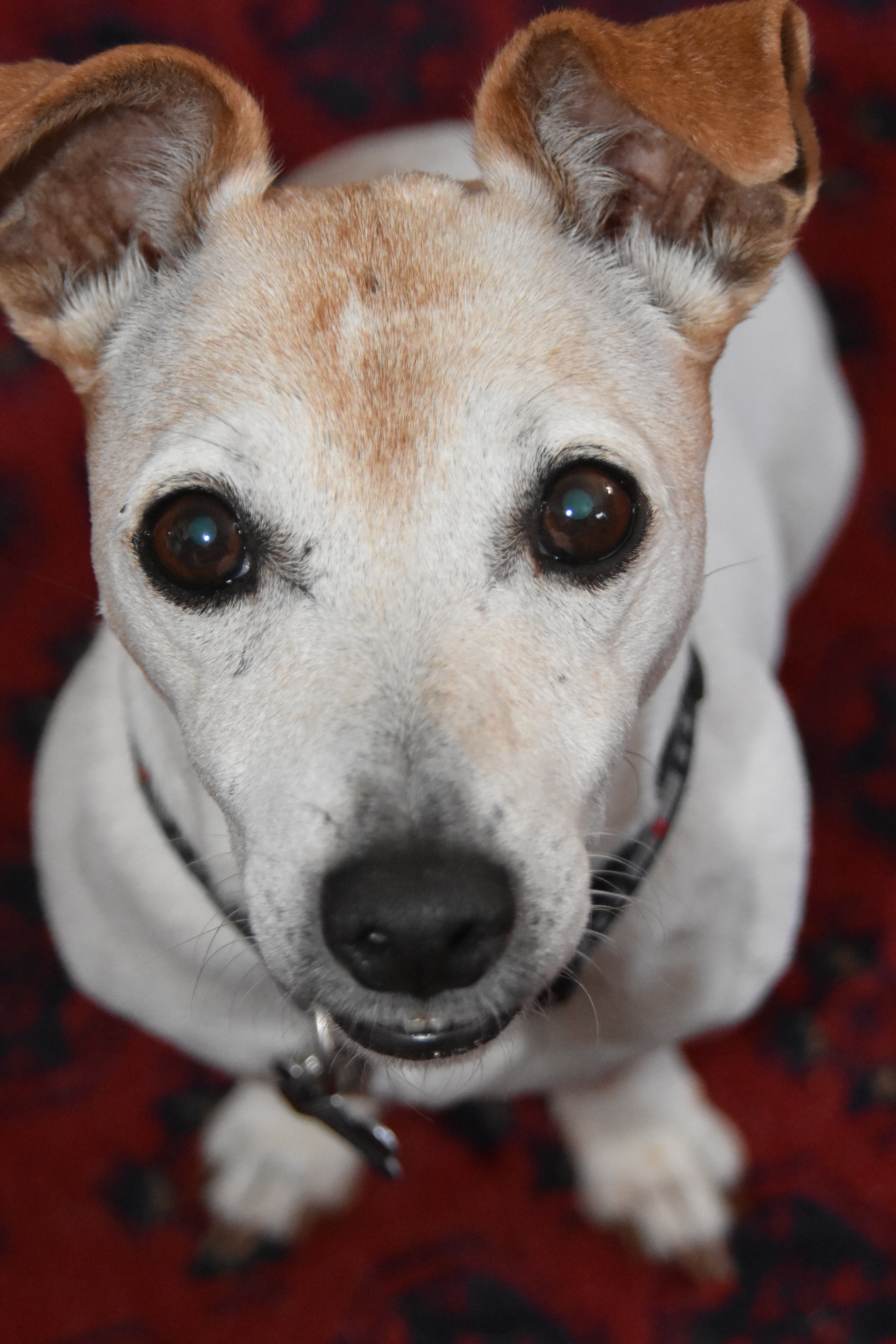 E9C6A23A-E7D3-4601-B75E-6EFACAB78A11