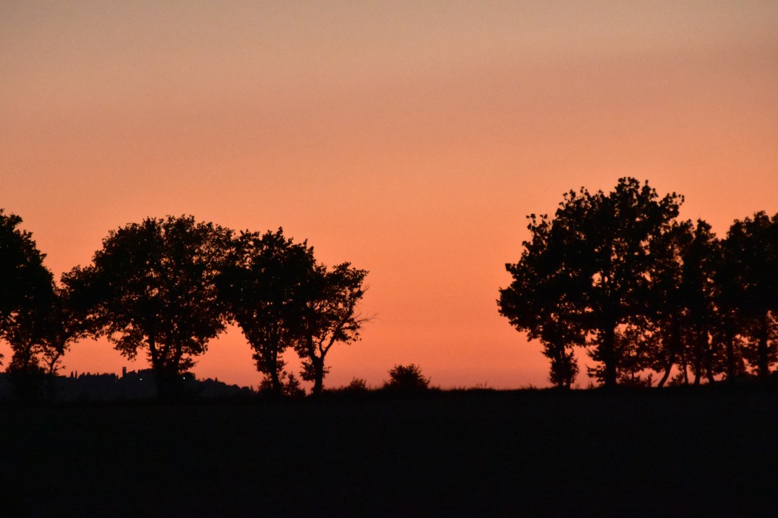 EDAD4539-69FA-40CC-B82F-A6B95804B334