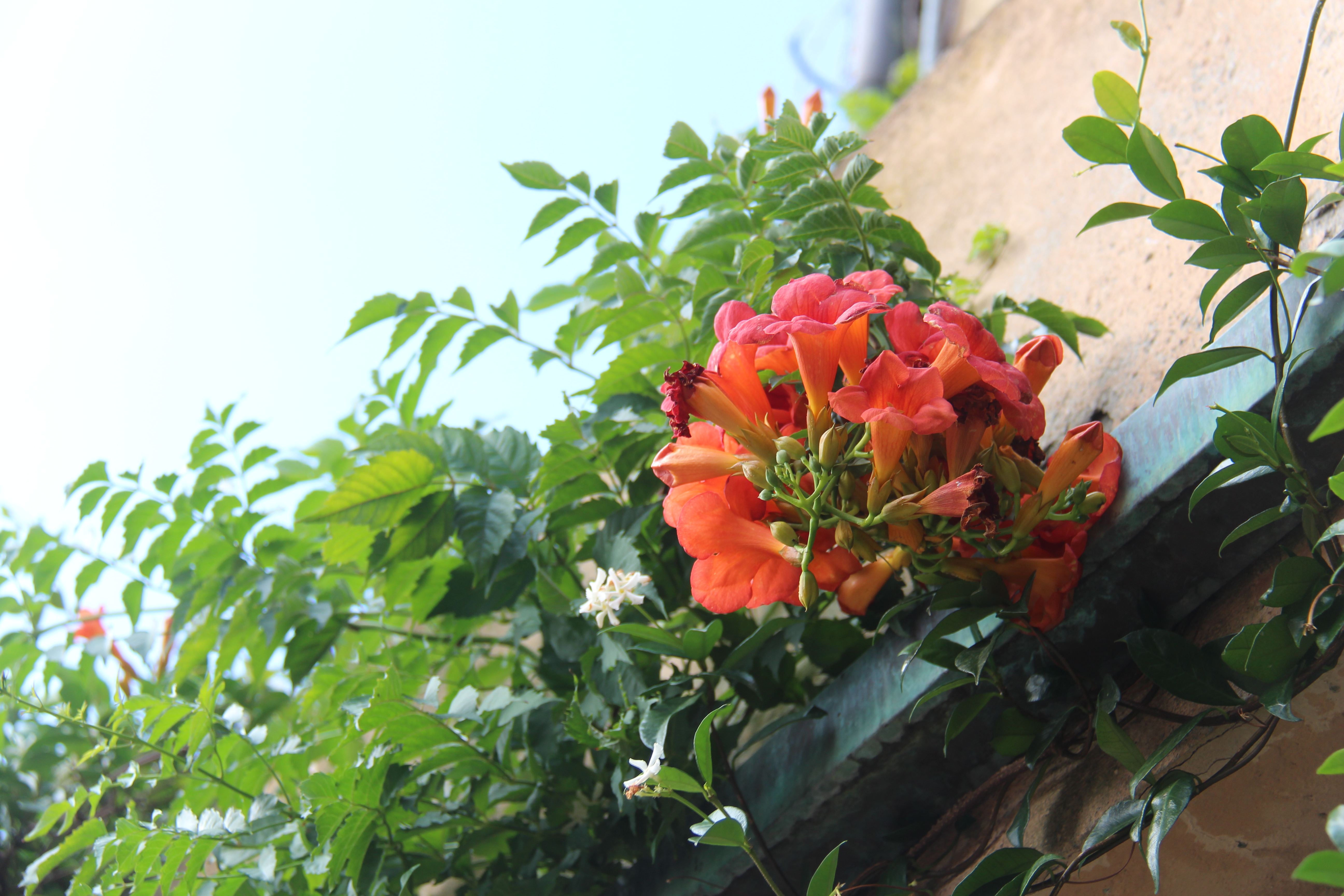 EE141ABB-73C1-4ACA-9CE3-4F65227CE5B2