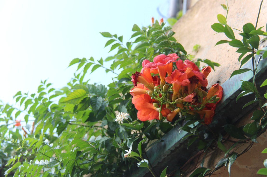 EE141ABB-73C1-4ACA-9CE3-4F65227CE5B2