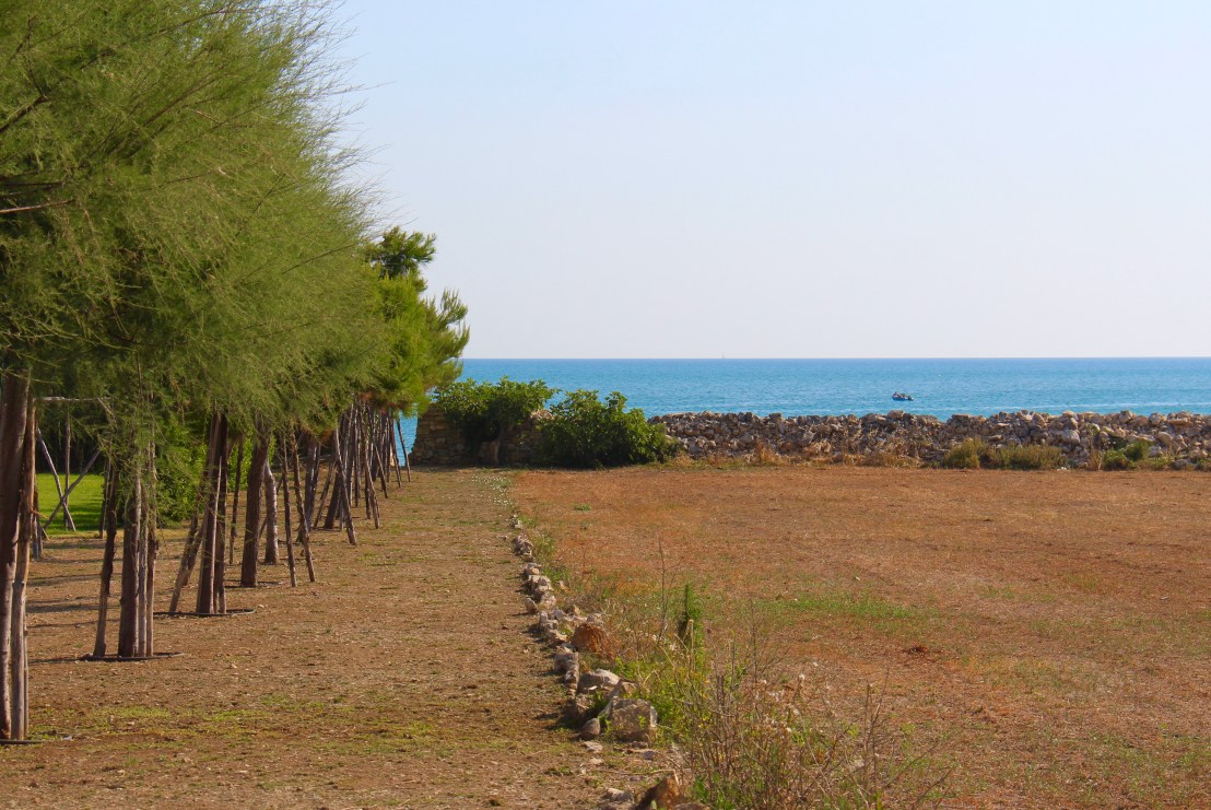 EEC2FAEE-E0EC-4522-A7AC-02D50B3D0F3B