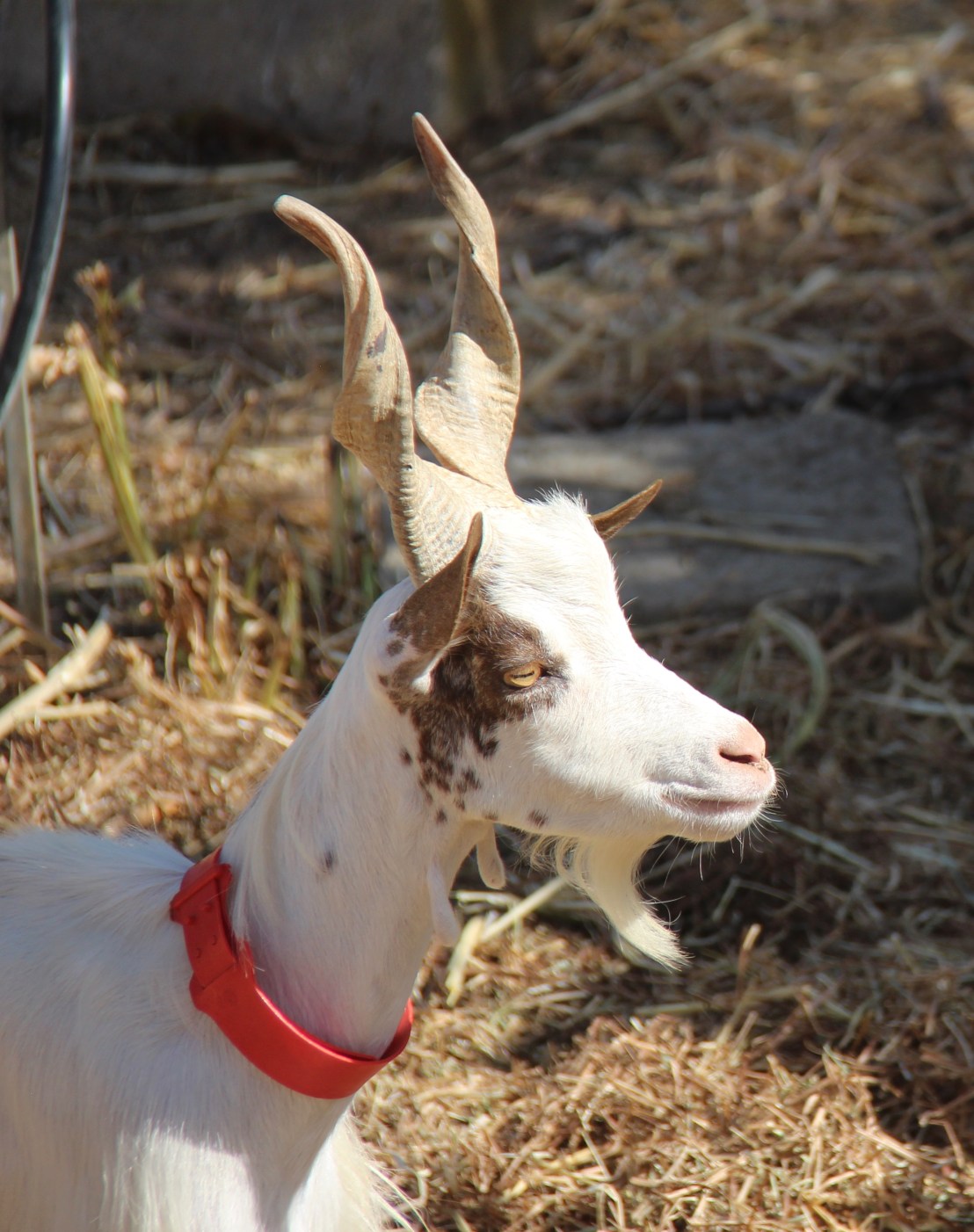 F408F210-3A95-4FEA-A8FB-1C311A482E16