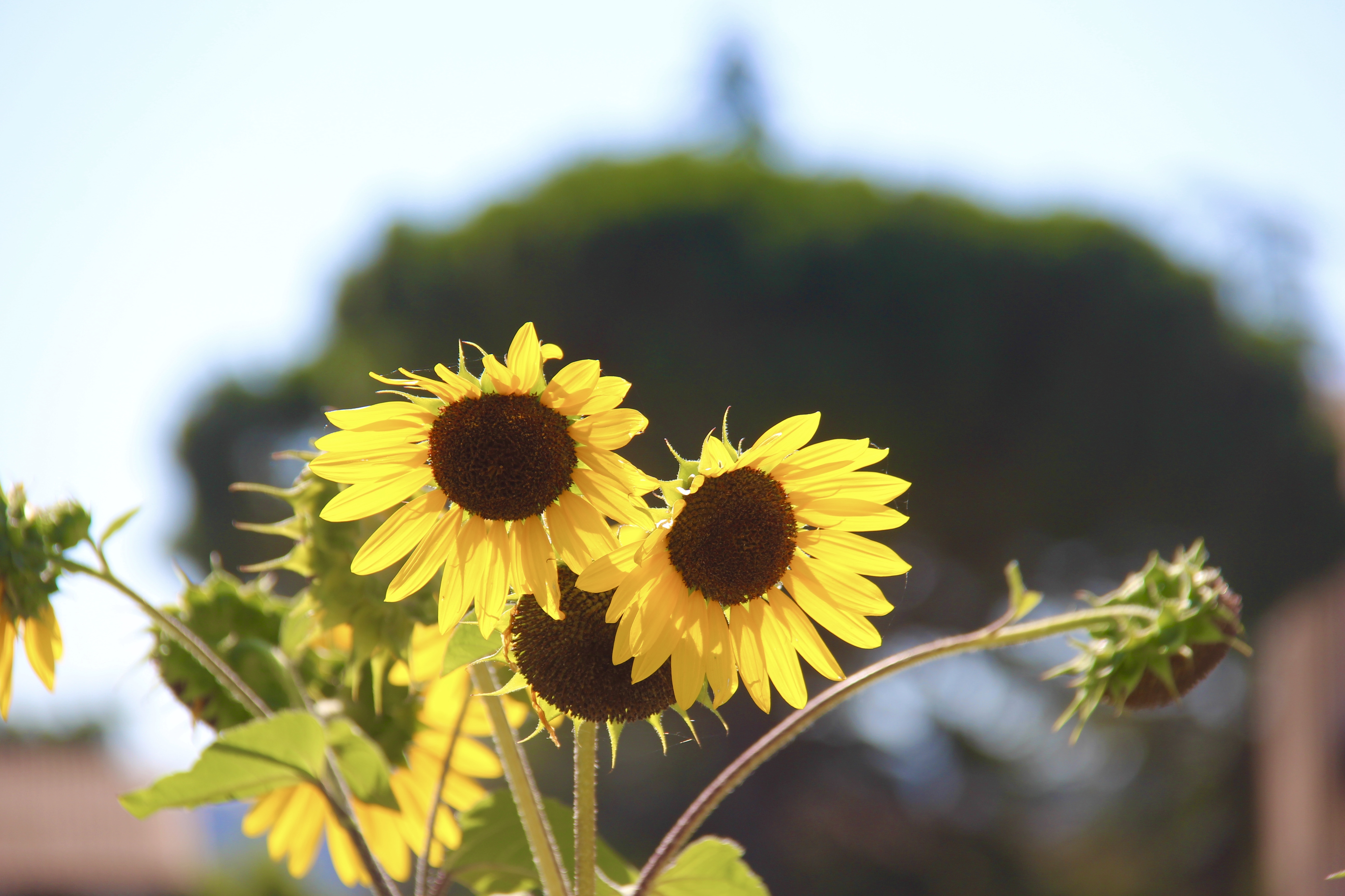 F46950A5-EB4E-40AC-B189-AD4420B402CD