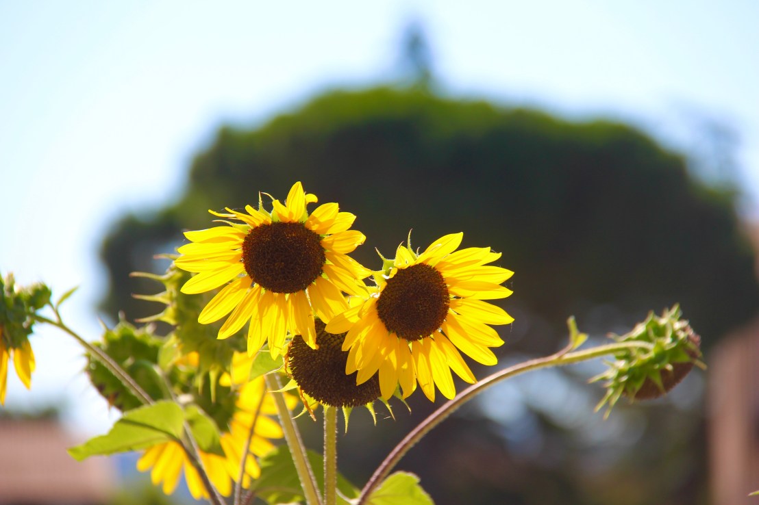 F46950A5-EB4E-40AC-B189-AD4420B402CD