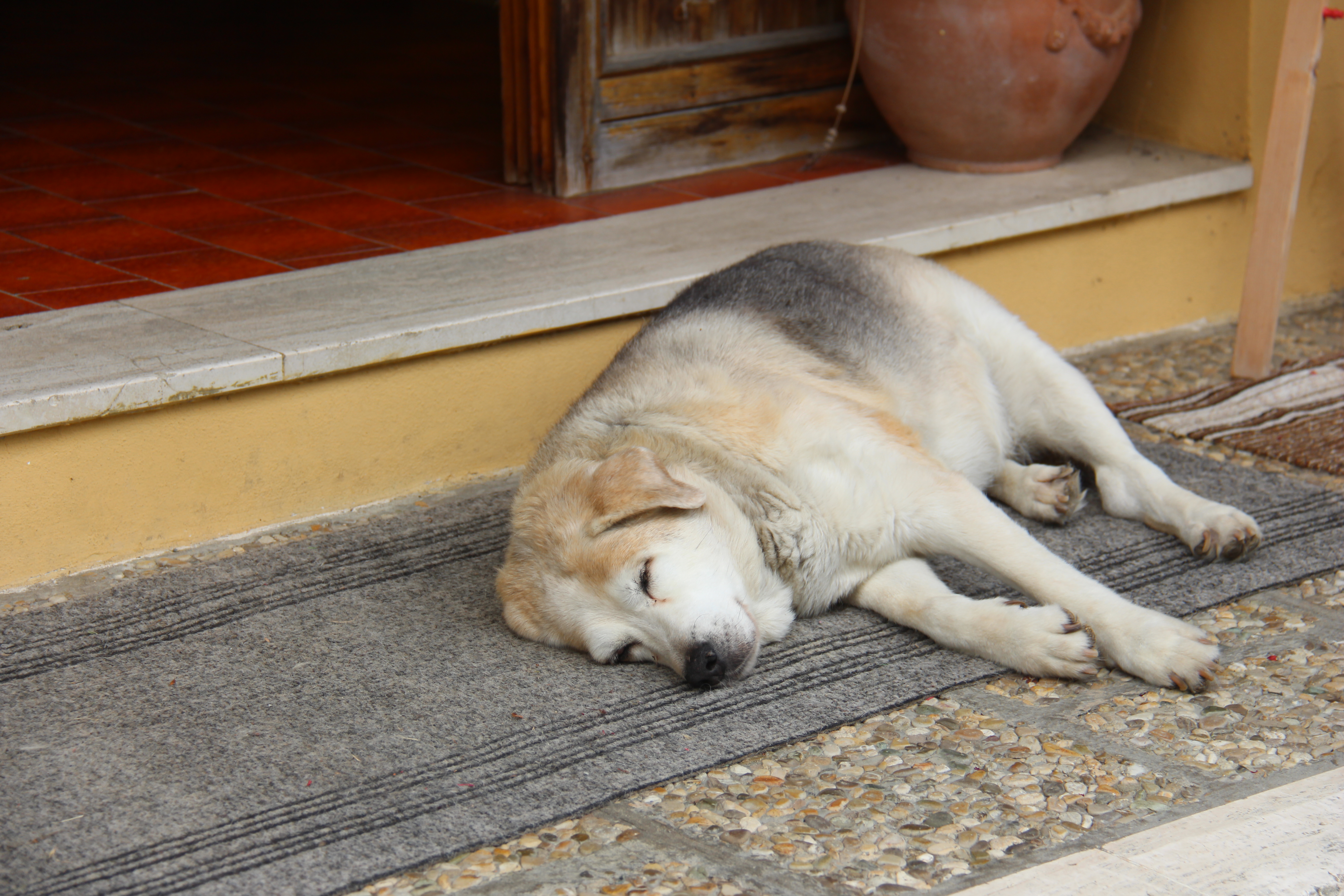 063C5F72-BCD5-404E-9FC9-B6674EEFAA43