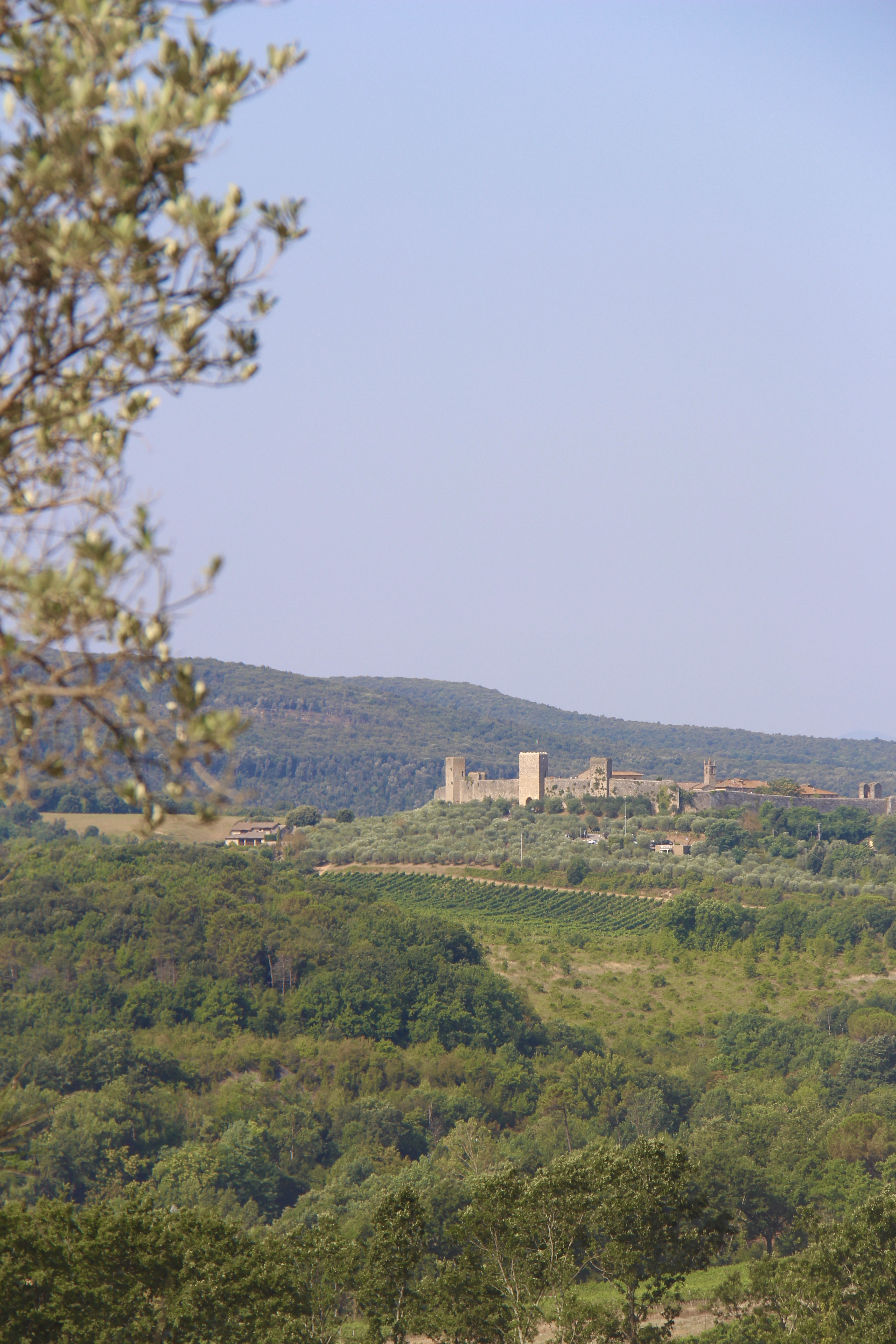 18CF99A8-923A-4A11-B86C-27C080BF268C