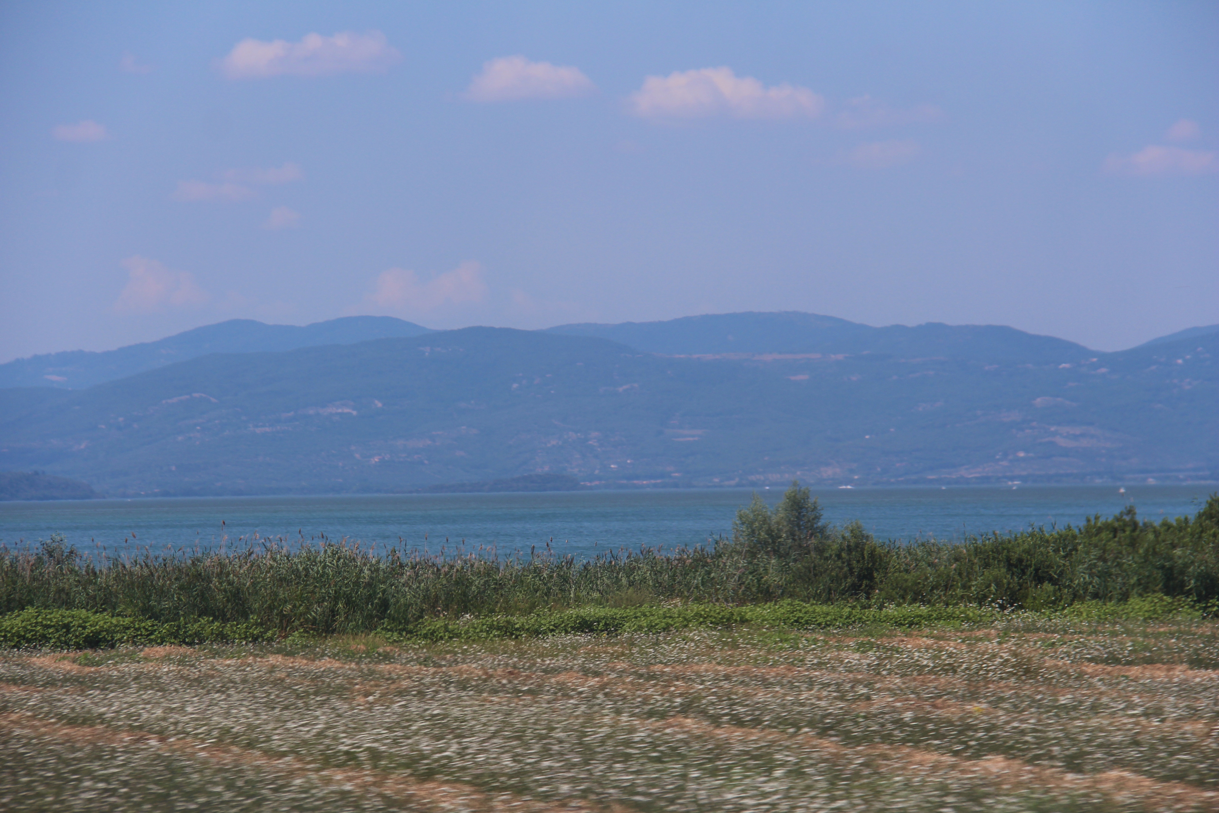 39D5D407-26A9-4D24-979E-922D1B0E9908