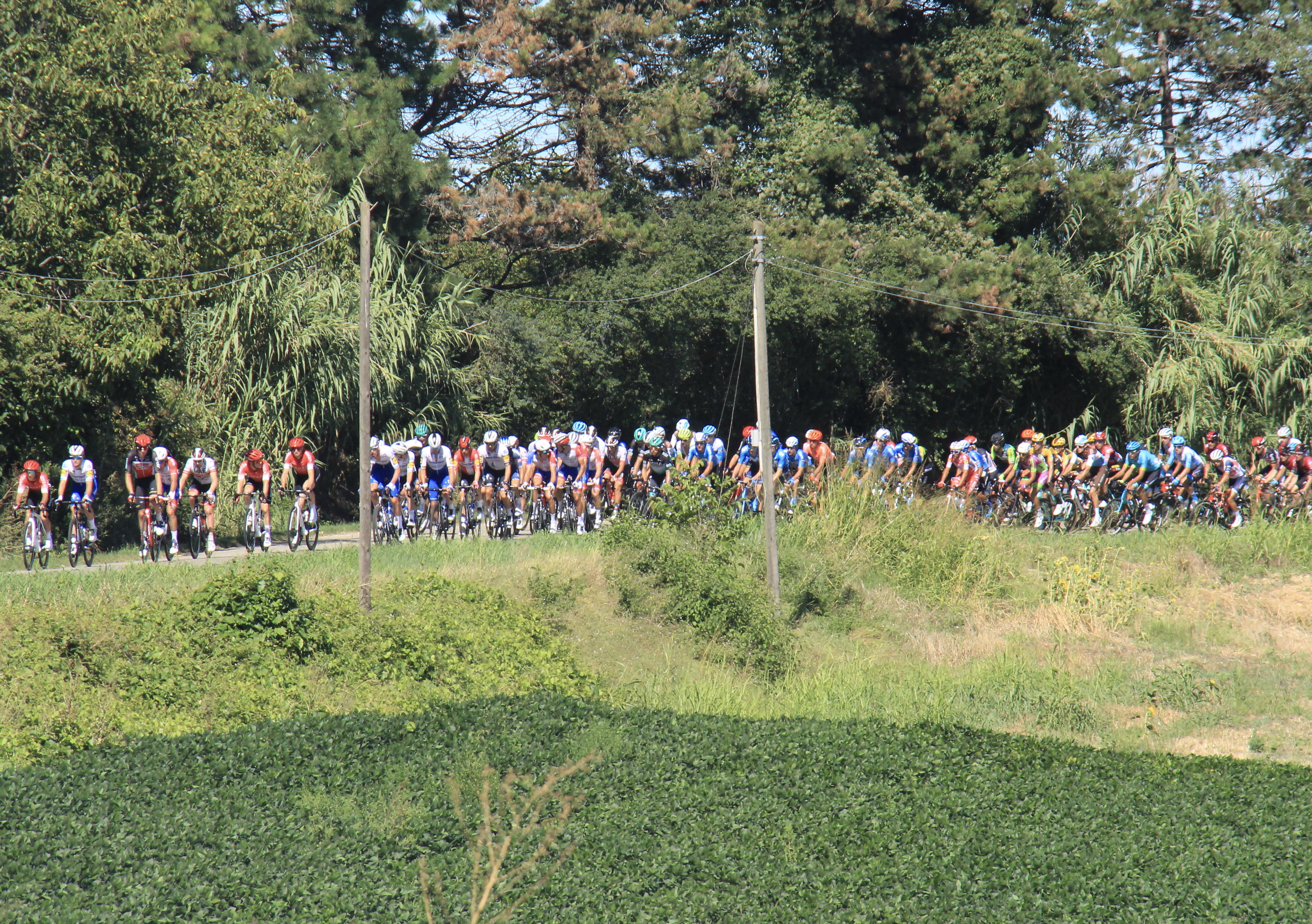 3D57FAAA-FA64-4204-8DE0-0628B358CEC9