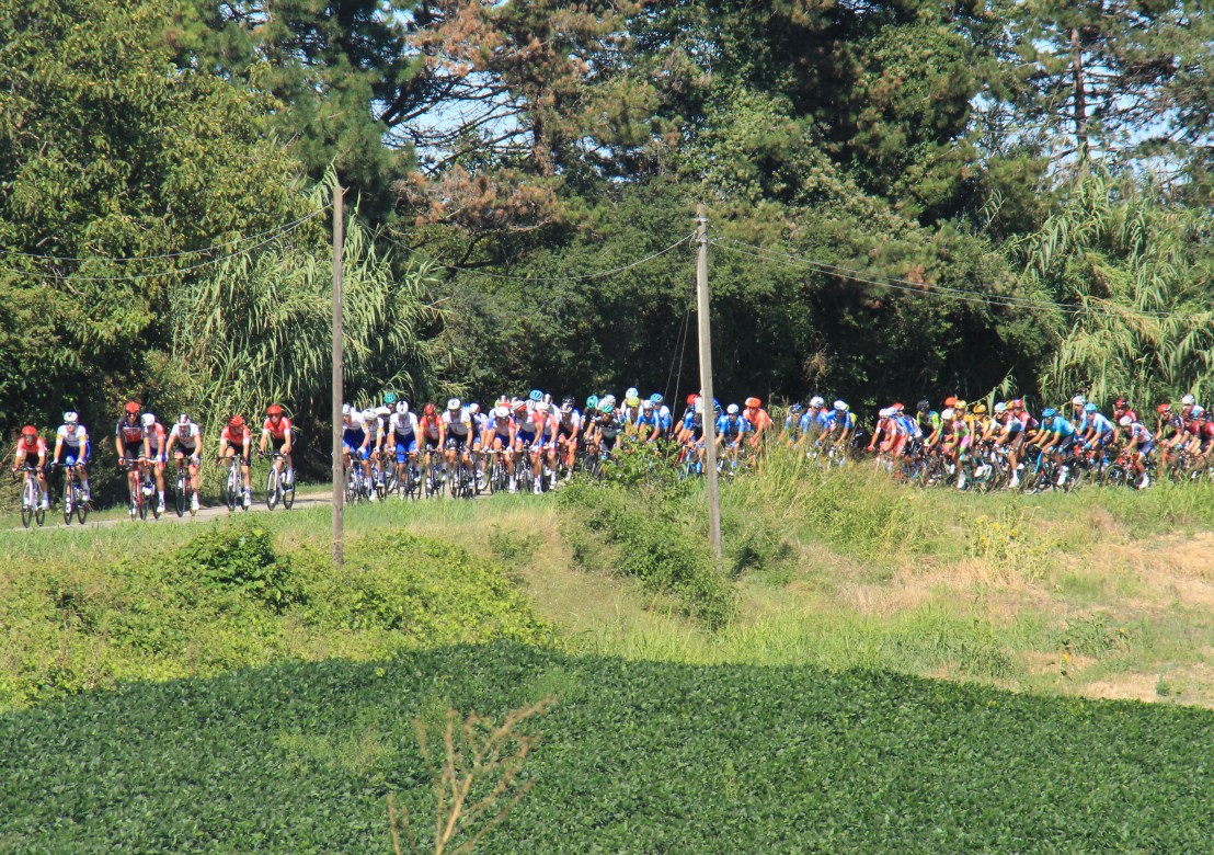 3D57FAAA-FA64-4204-8DE0-0628B358CEC9