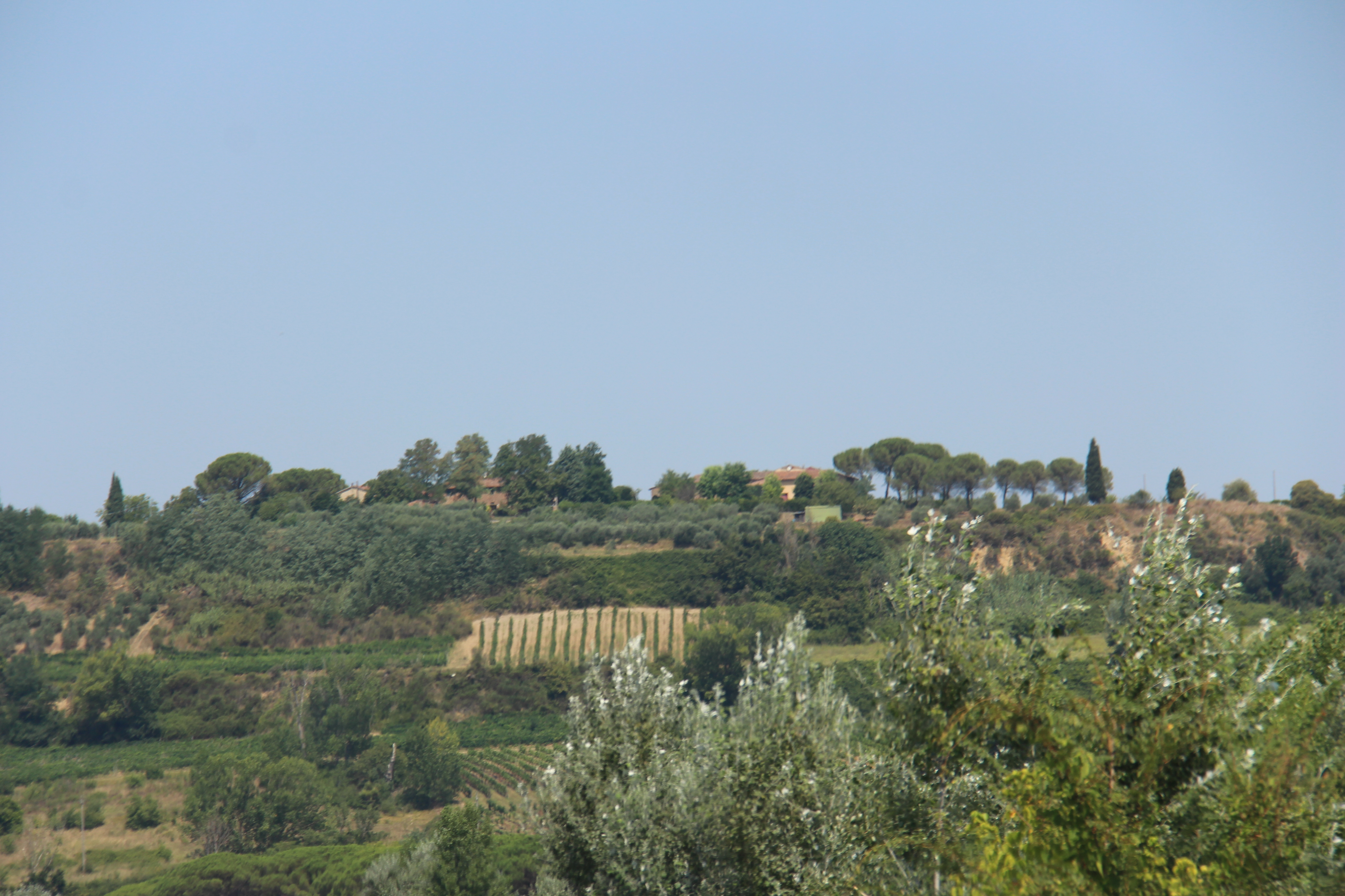 47C64275-0300-420B-9DE6-3229BF1DC3B7