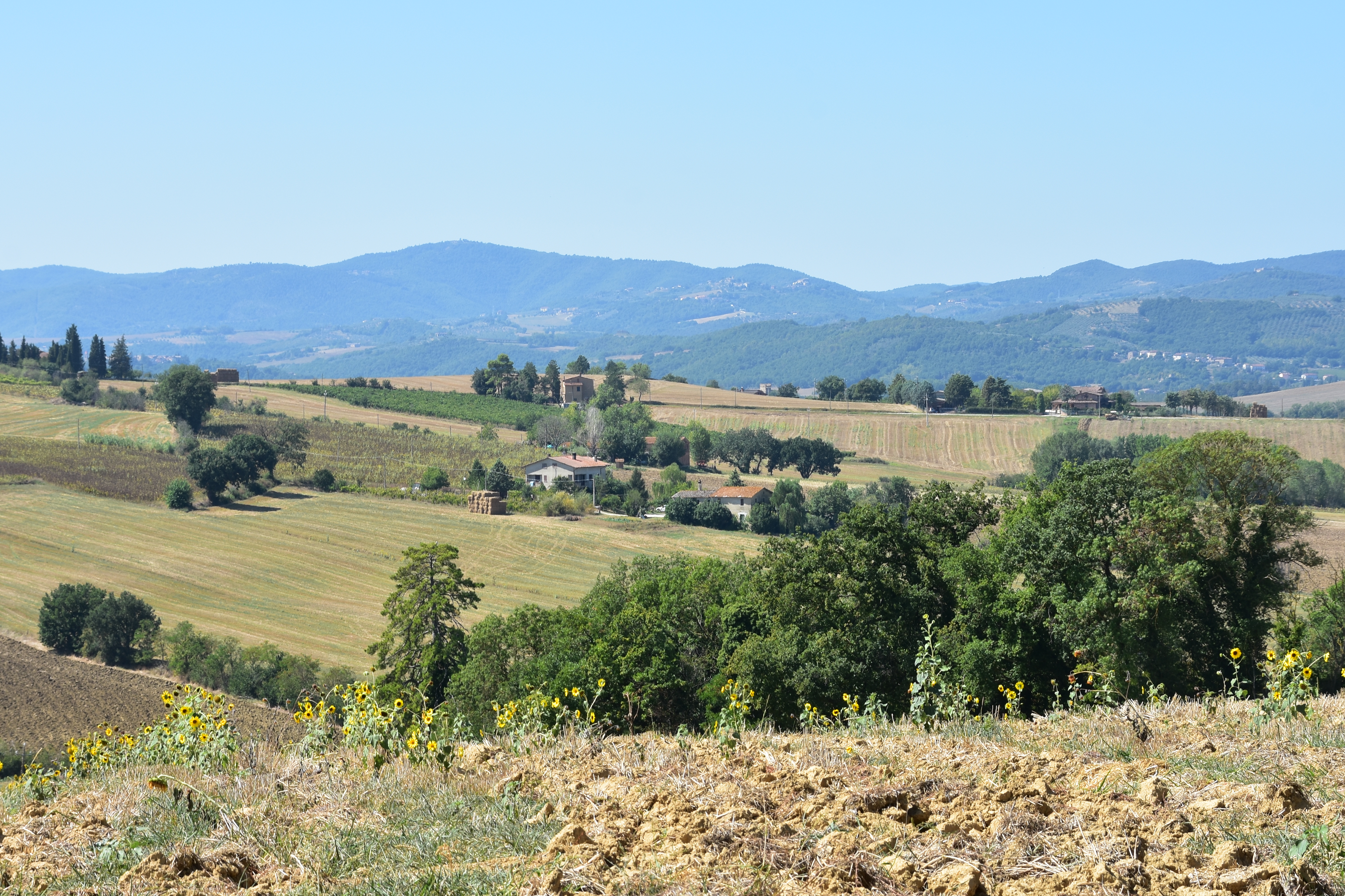 4DDA675F-9235-49C7-8591-4B98613A2B16