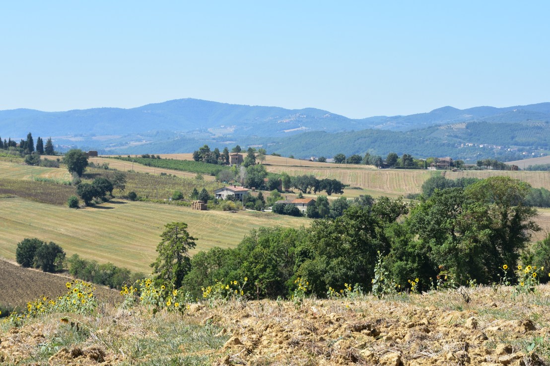 4DDA675F-9235-49C7-8591-4B98613A2B16