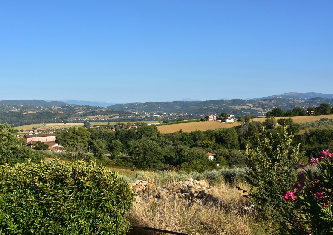 63FB03C8-F671-41B7-8AF7-25BFA76B6AB3