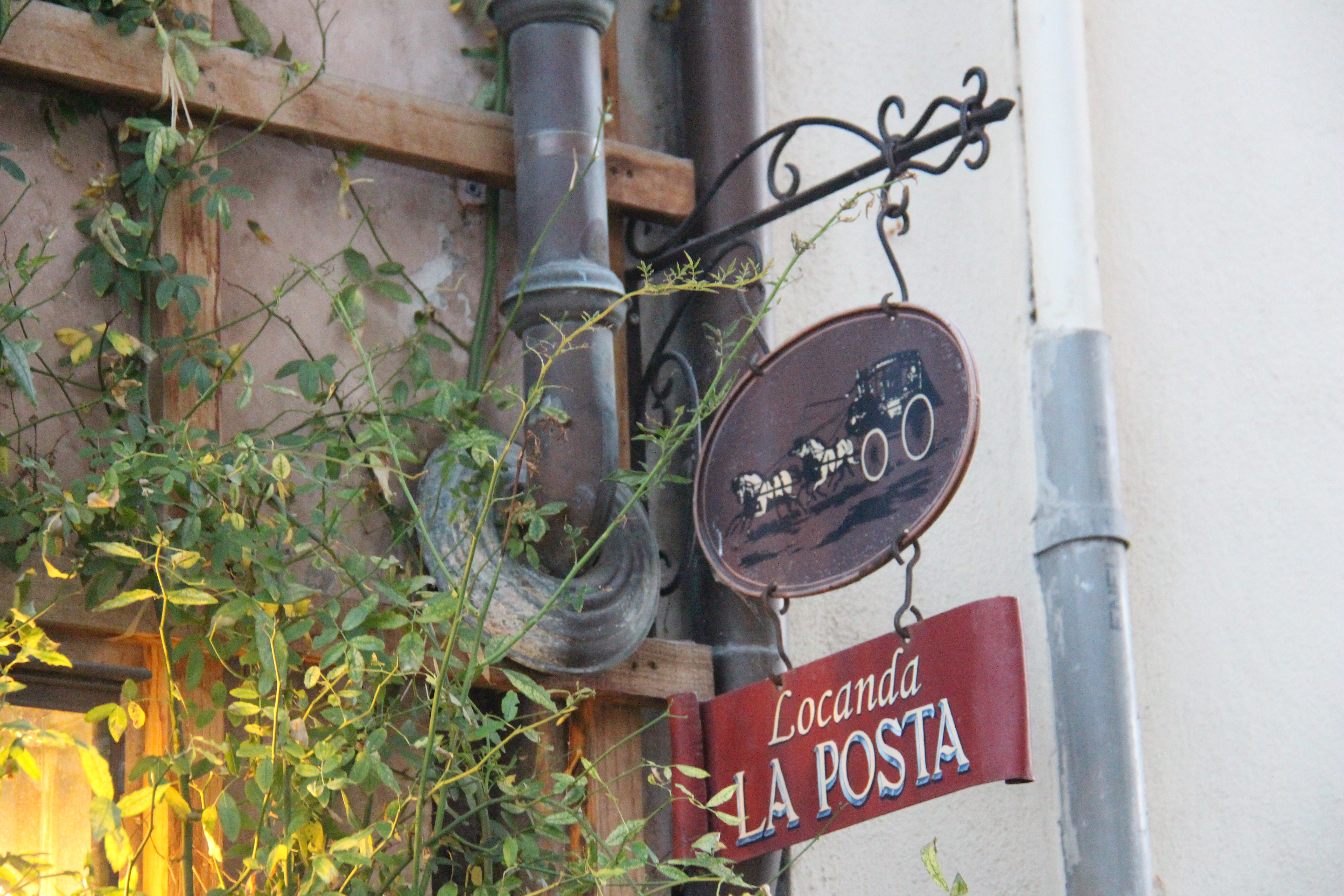 667705D0-F827-48C1-B9CD-2FE89EACC6A0