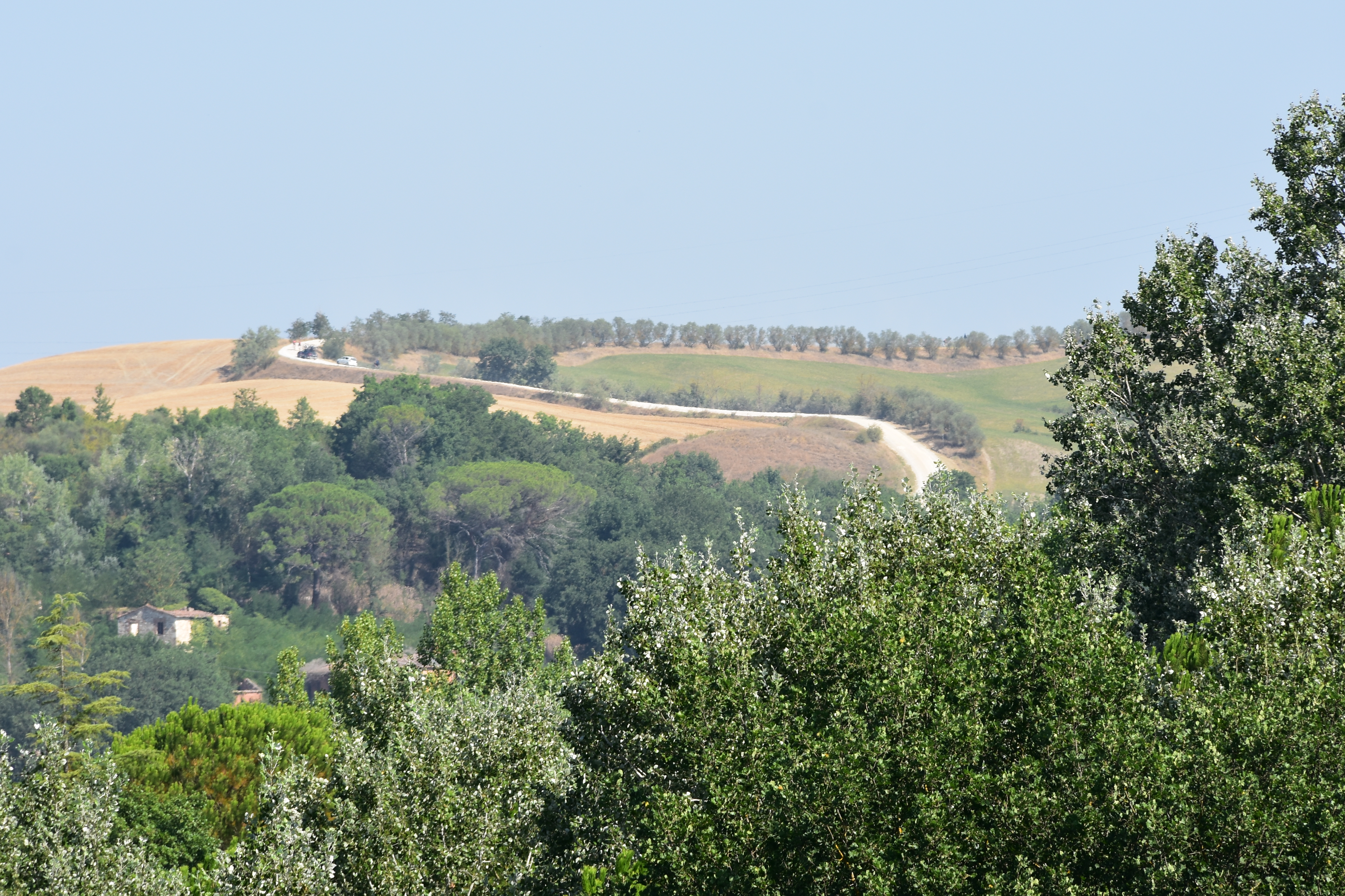 6AC6020F-E786-48DE-958C-F69D7BD1256B