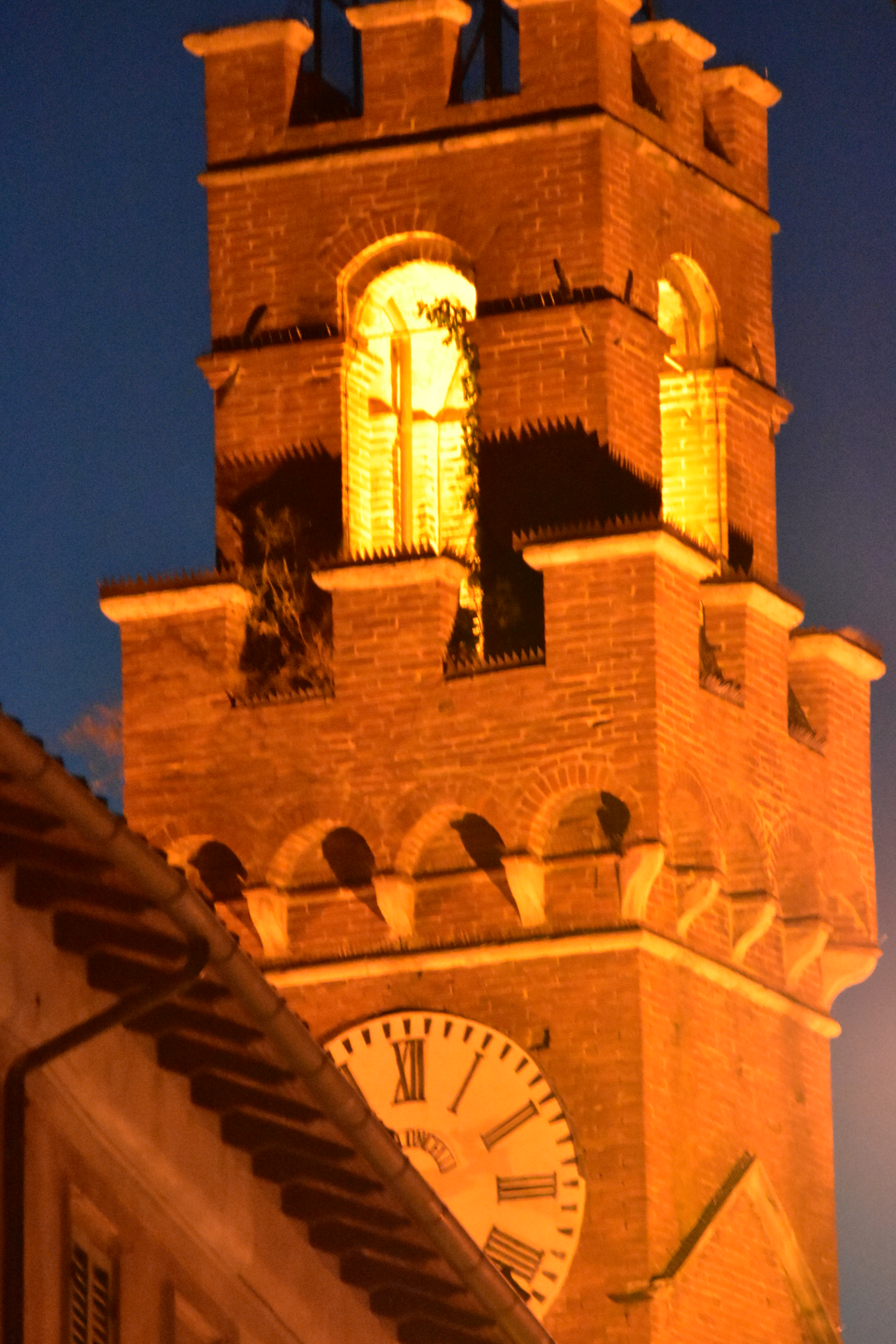 72C80DAA-BD9D-496E-A54A-05E14015889F