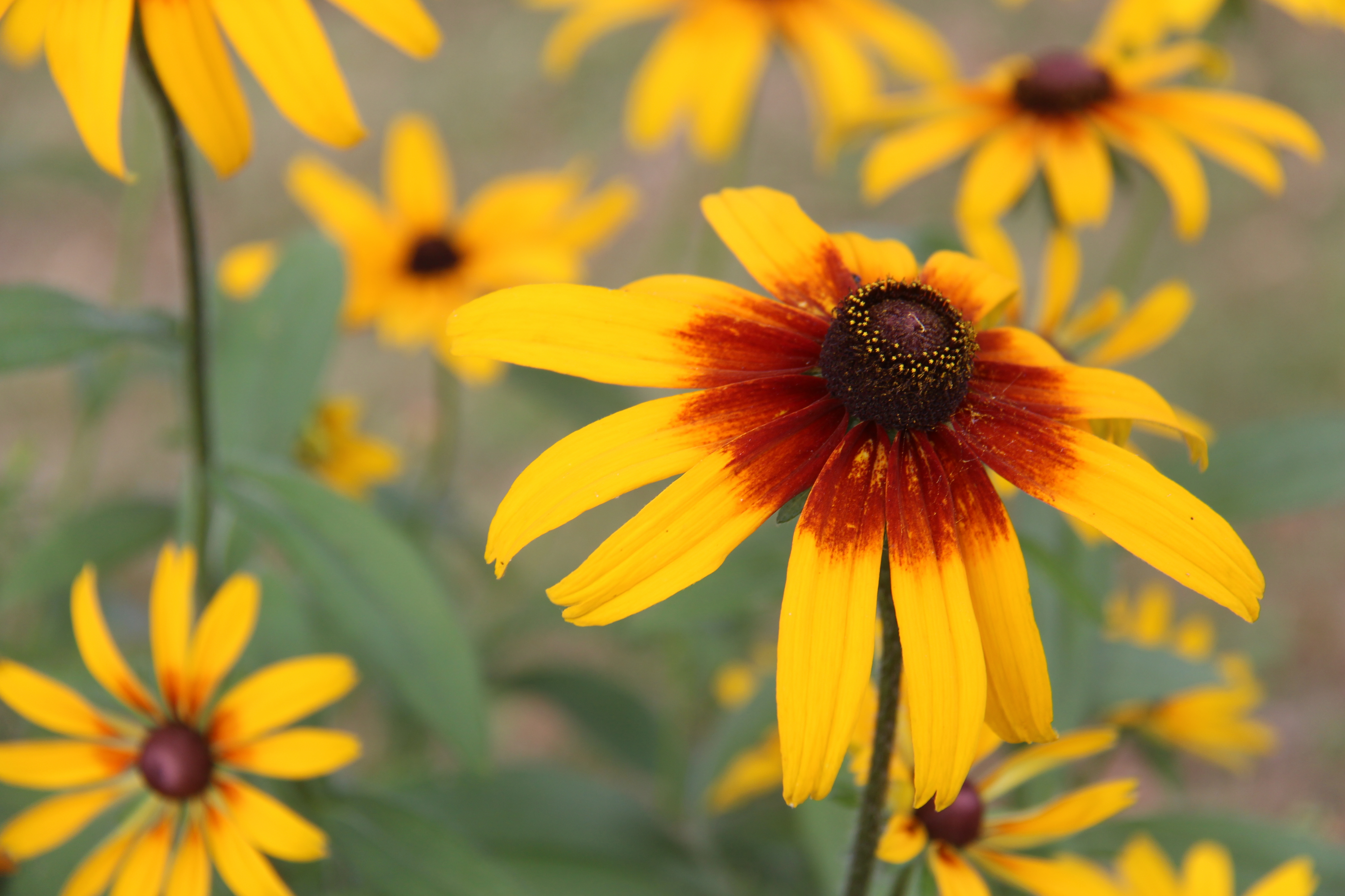 73E46F61-C72C-45C4-8BE1-7F7A508799B0