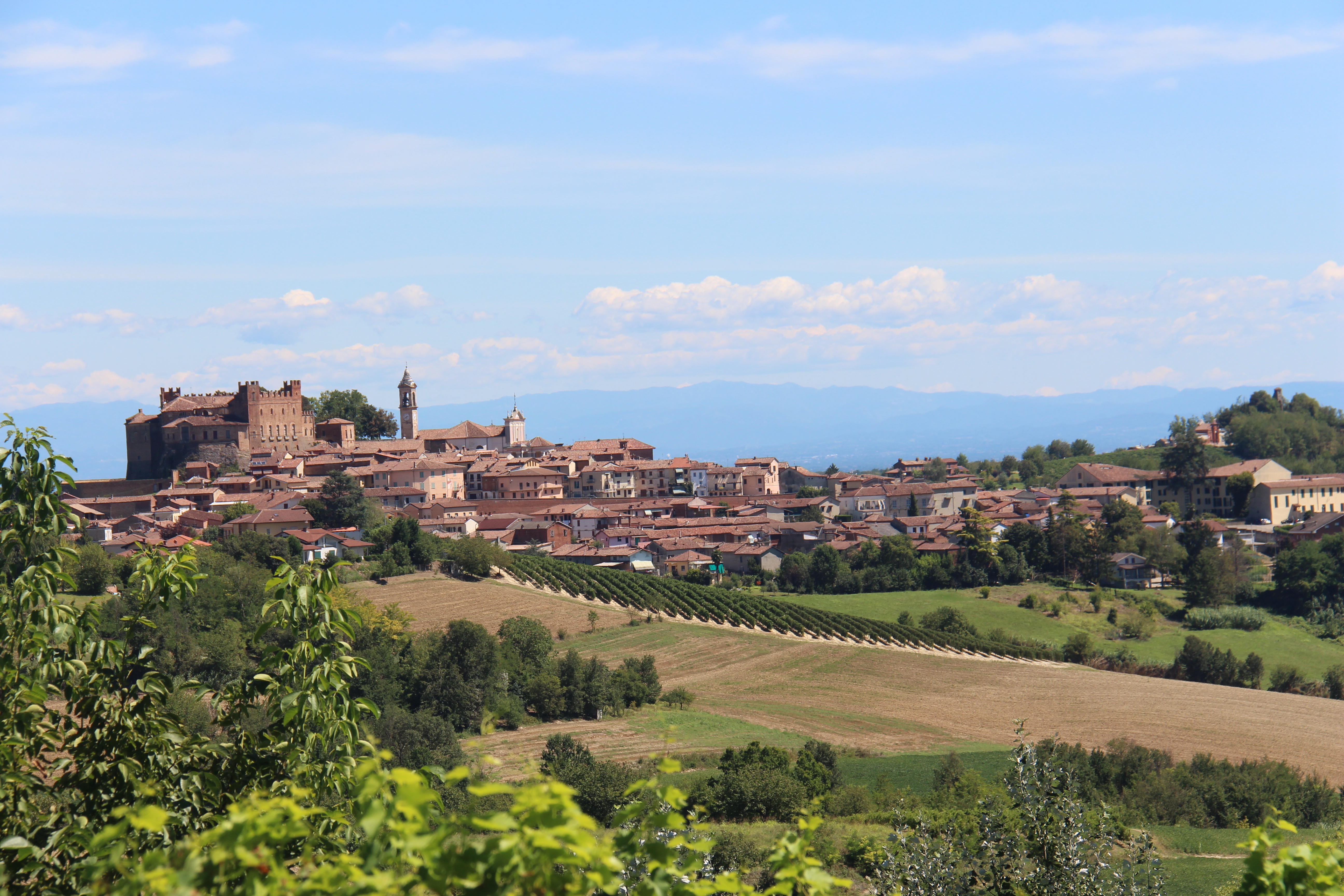 74C3E7A4-4B22-4D8D-B637-B102E373A63D