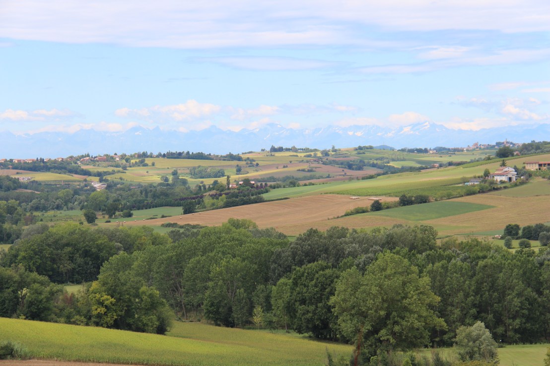 798E25E4-64C2-4A6B-9E6B-EF7F51A8321D