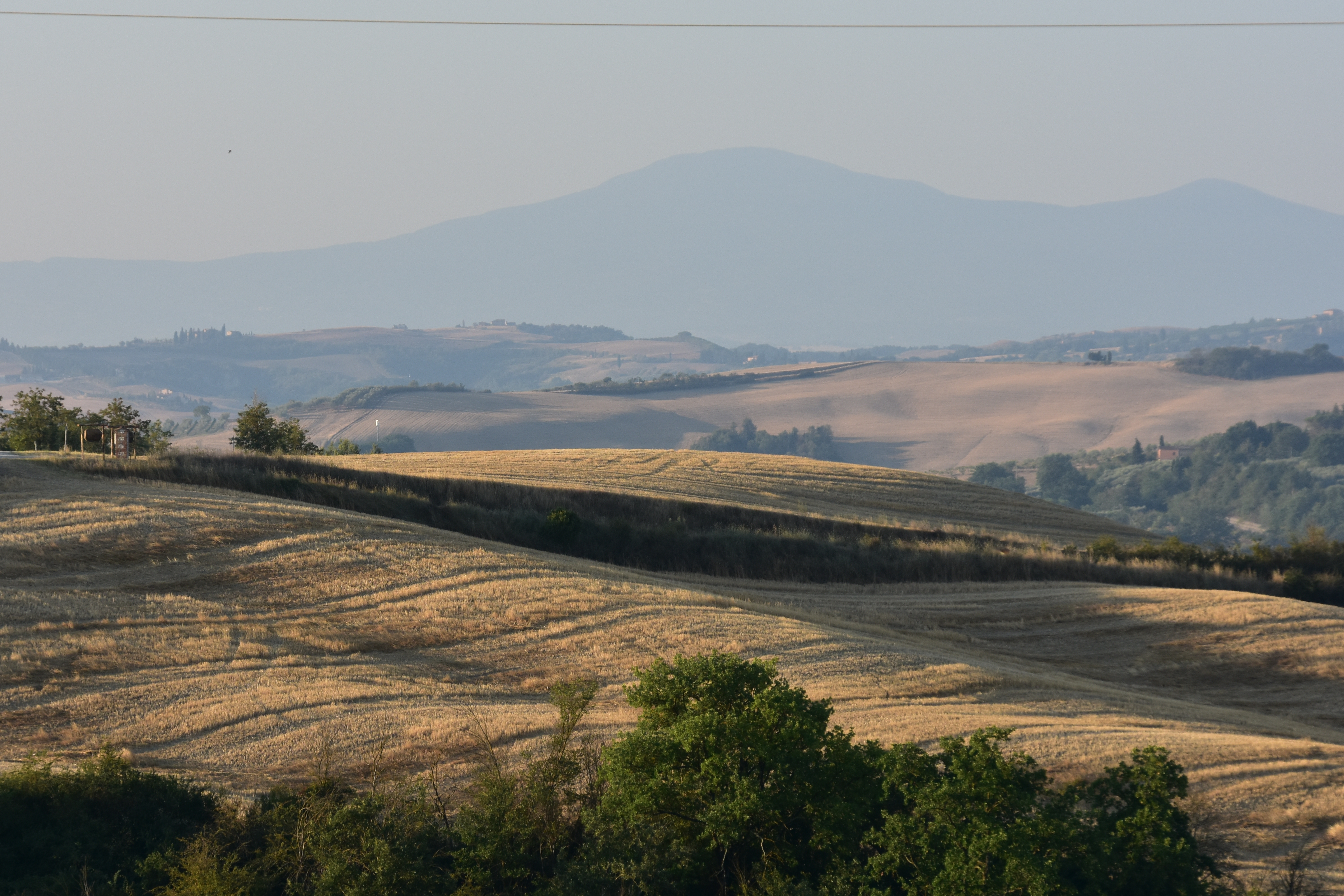 8C3C272A-30A8-4EAD-A9BC-BCADEEB054F7