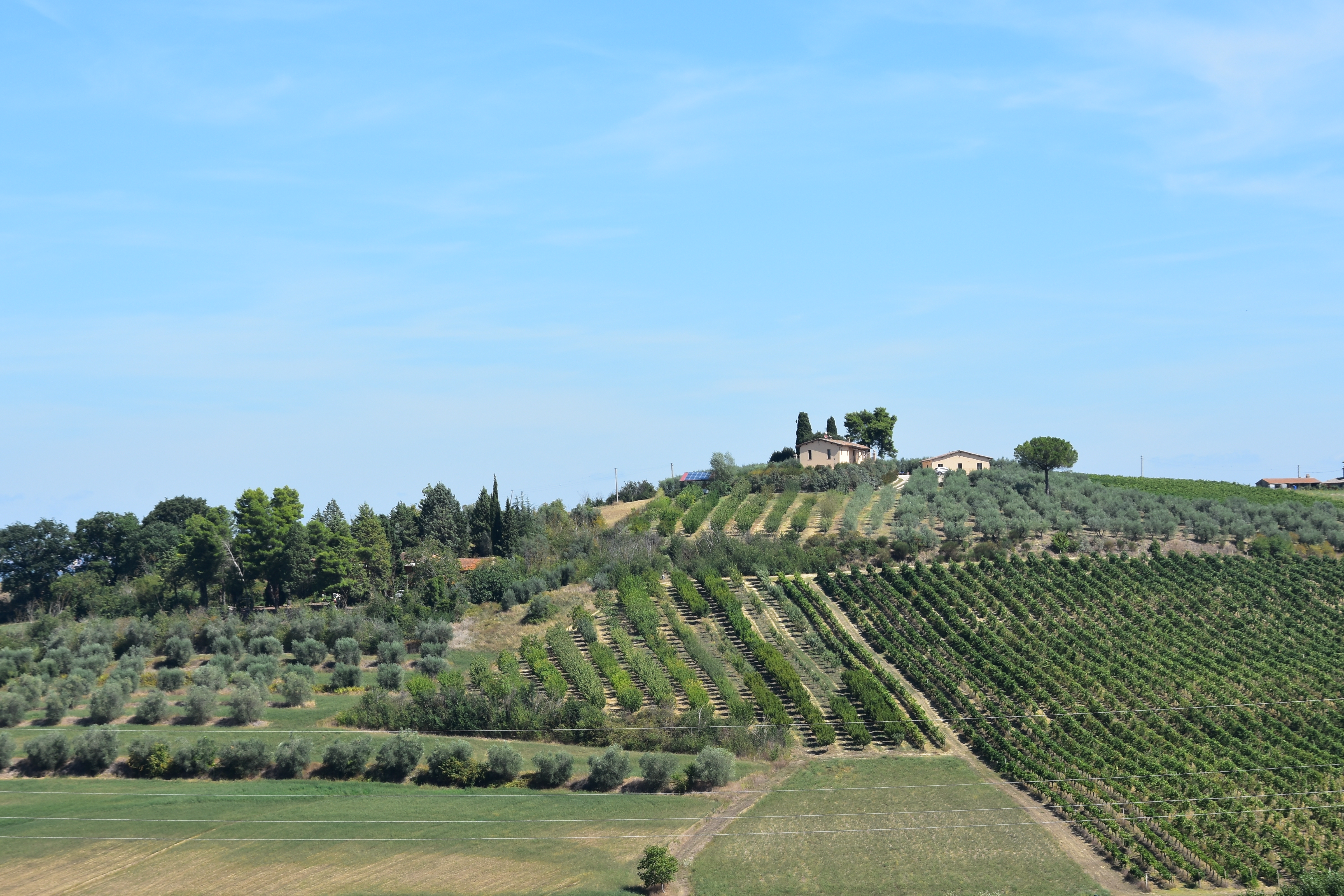 923BFC95-F54A-46AE-9251-398BA17F8B3B