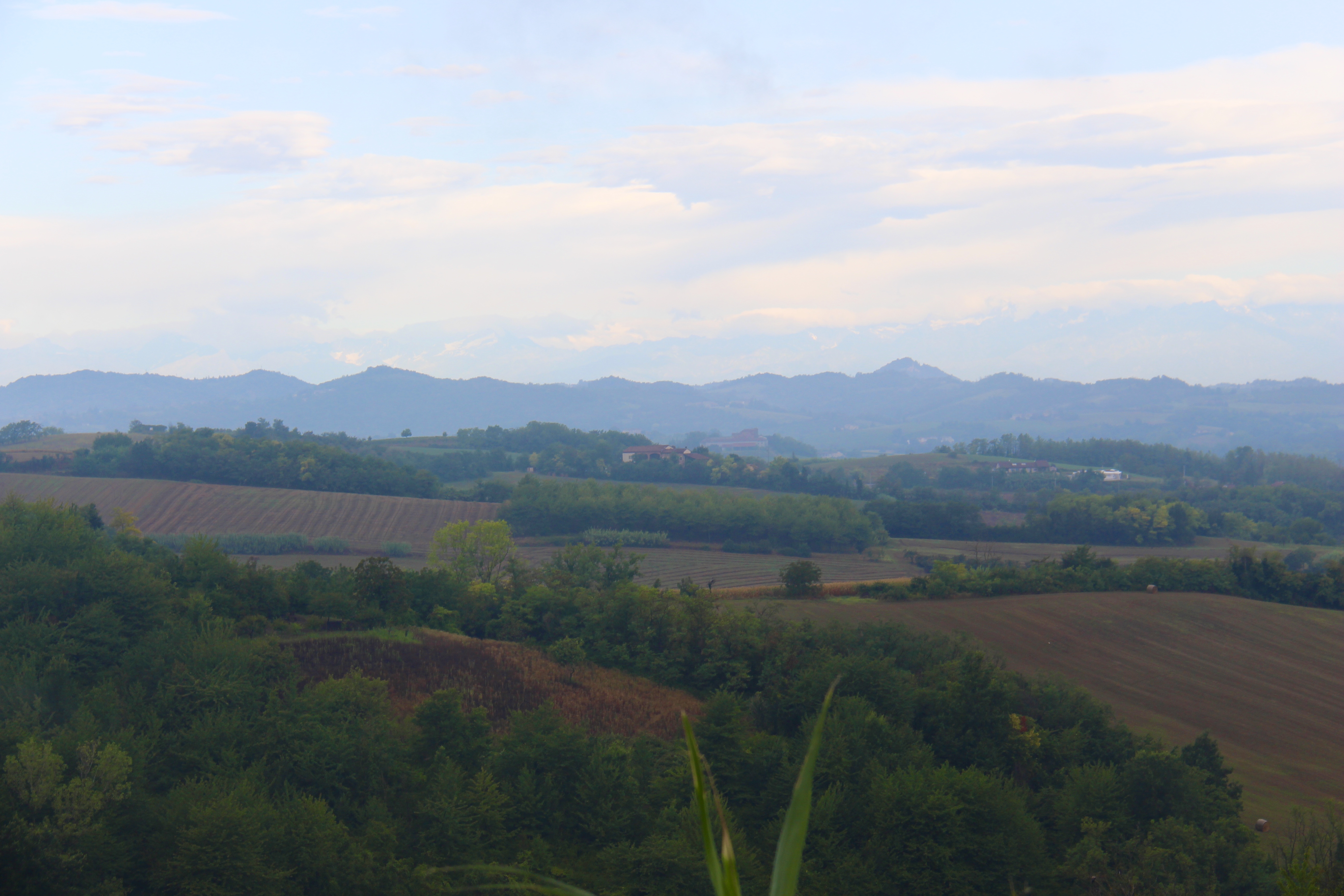 9F8173E6-37F7-4D15-A56E-A2A36D5DF503