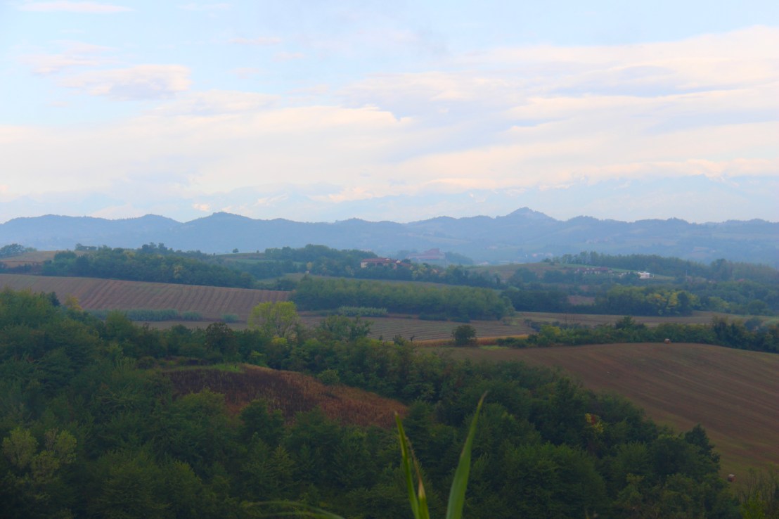 9F8173E6-37F7-4D15-A56E-A2A36D5DF503