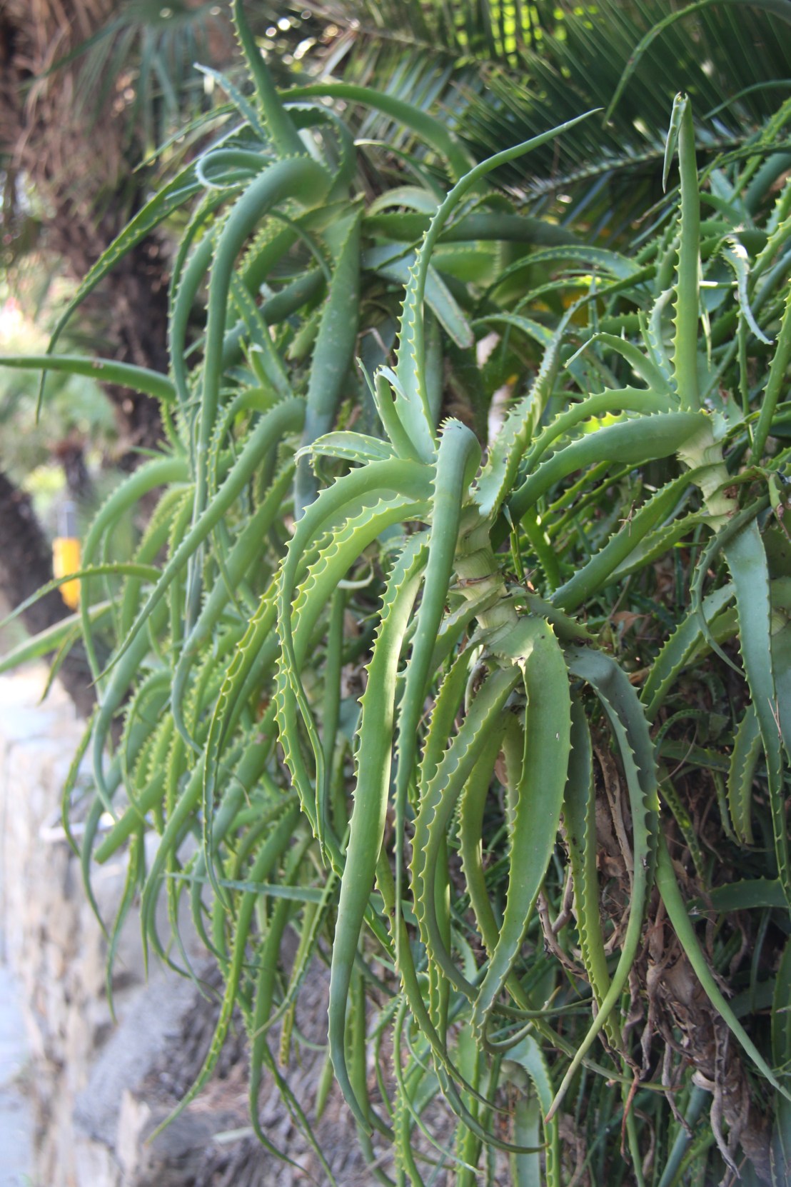 A0532A39-A84A-4D98-A7F9-D4D2CCBF38BD