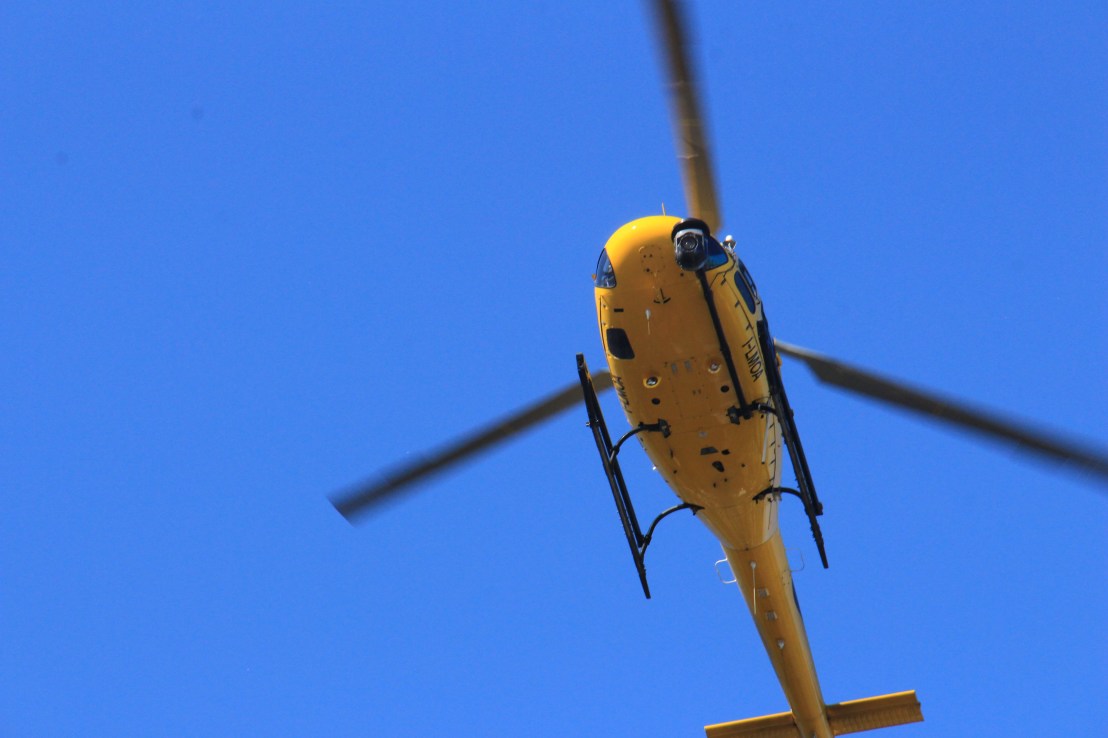 A06E913E-3E6B-46CD-BC94-ED733EE0551F