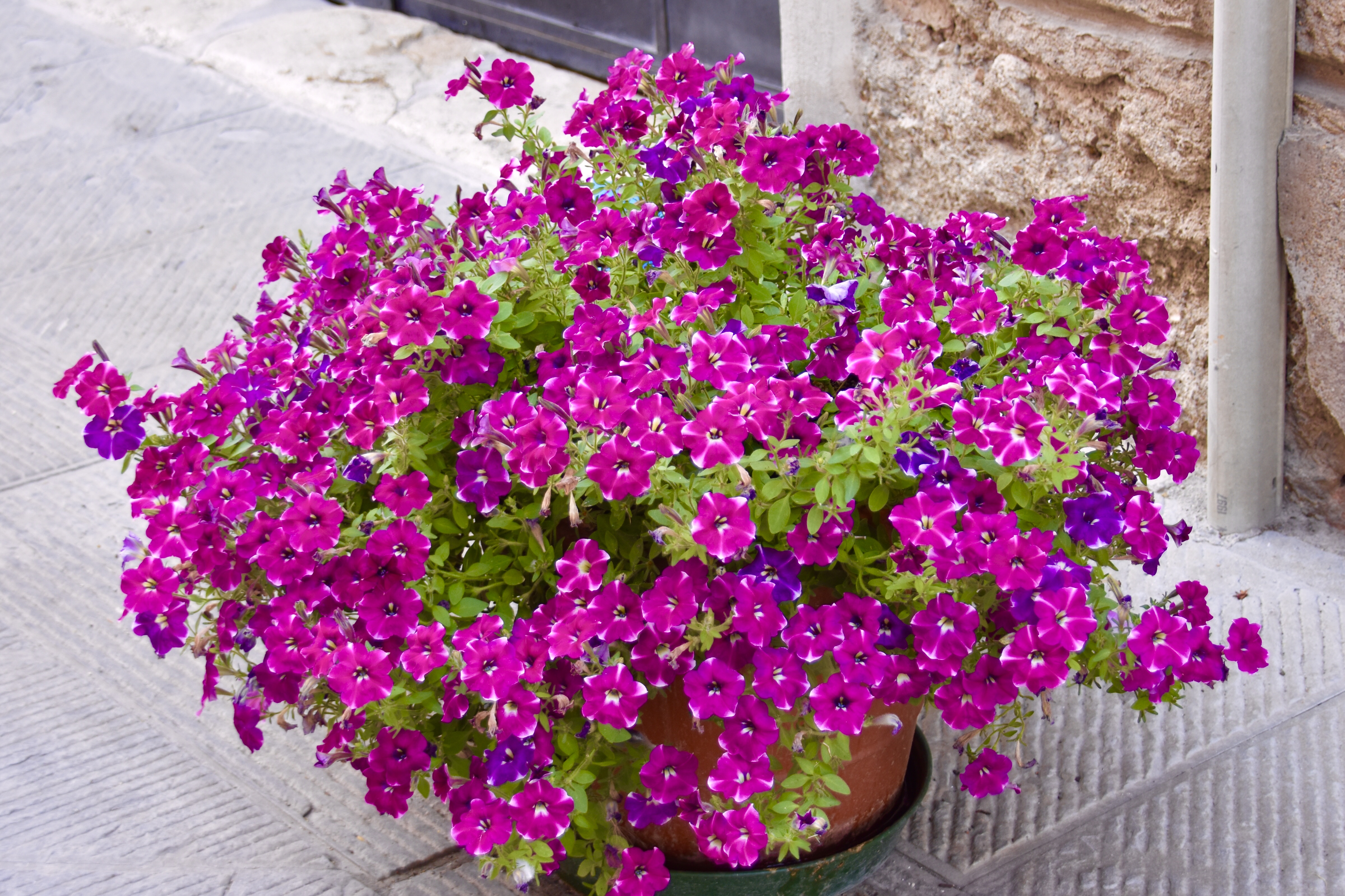 BCDBBD1B-35EE-4B83-A378-92F524265B62