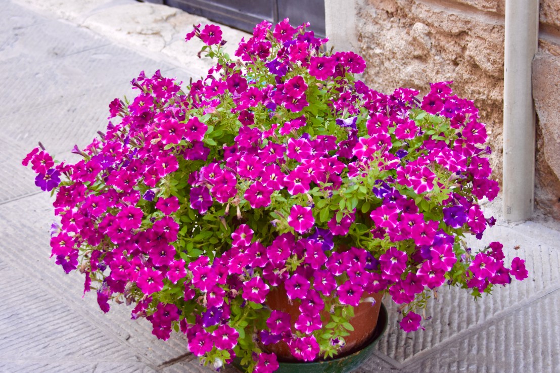 BCDBBD1B-35EE-4B83-A378-92F524265B62