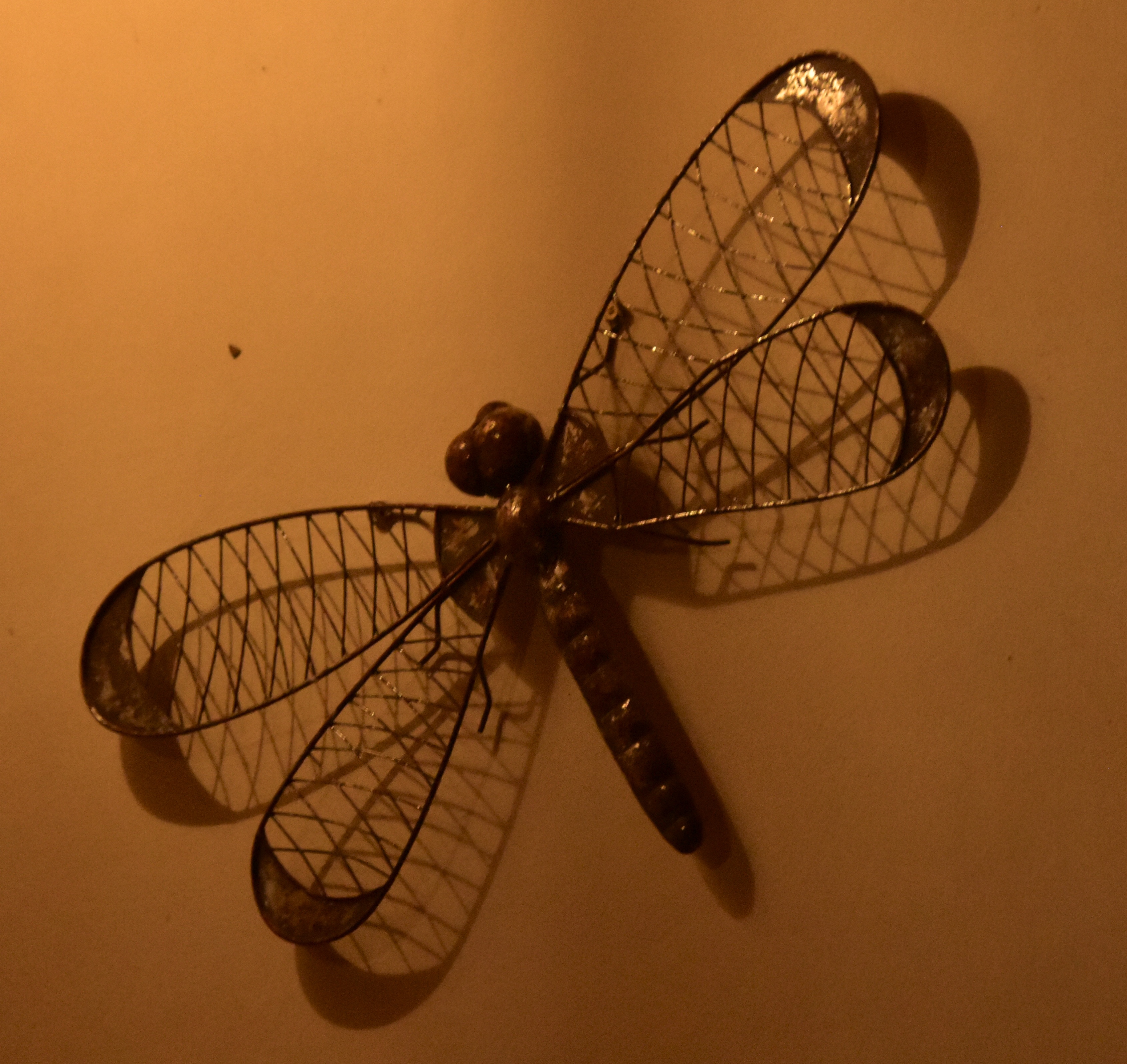 CEFF4466-D067-4F6A-8474-E4F7A267C2B4