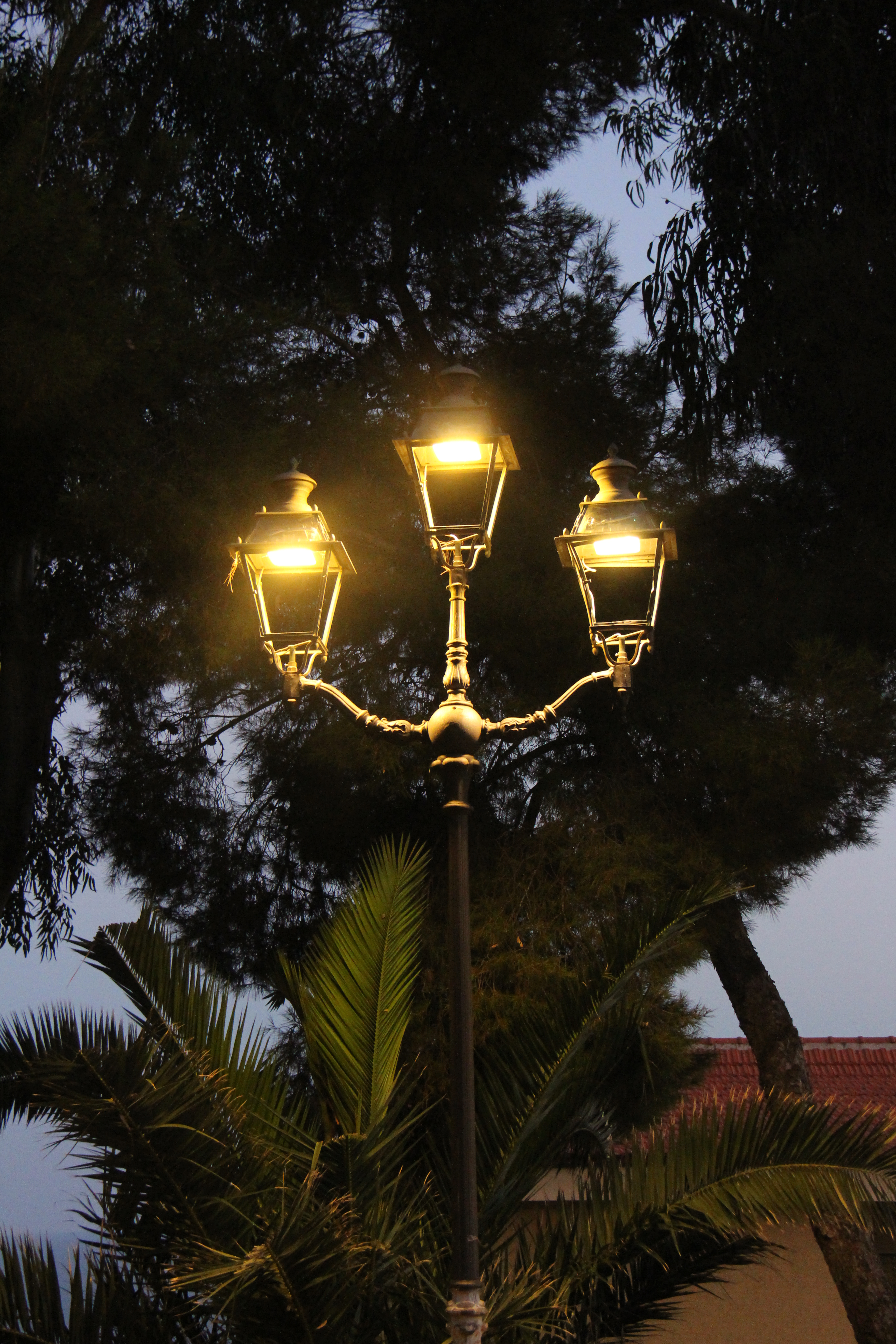 D1858227-9CE7-40F3-ACC1-69471036A9A2