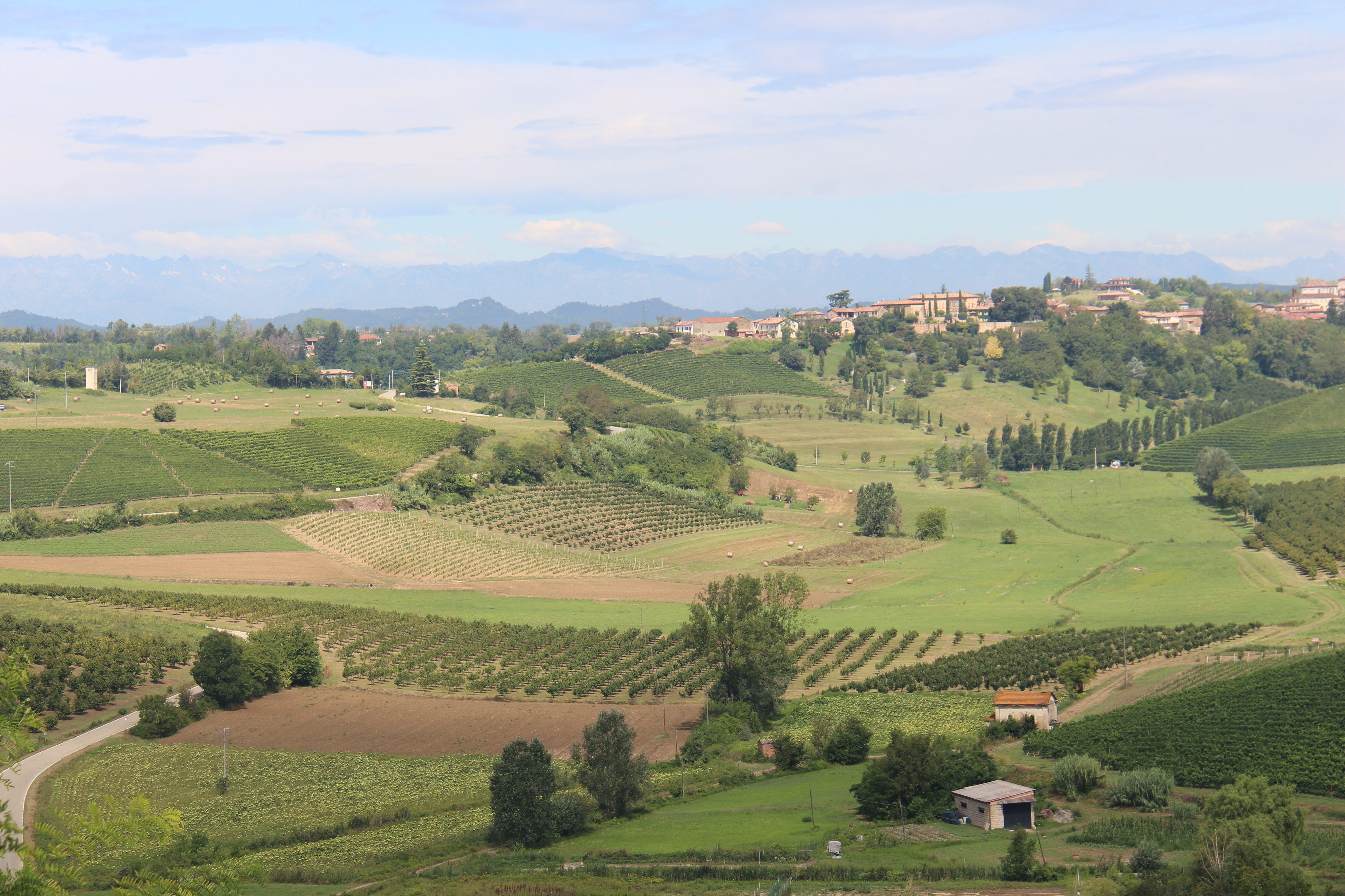 D88FFF63-9E0E-4DE9-A65B-382D8A97ACED