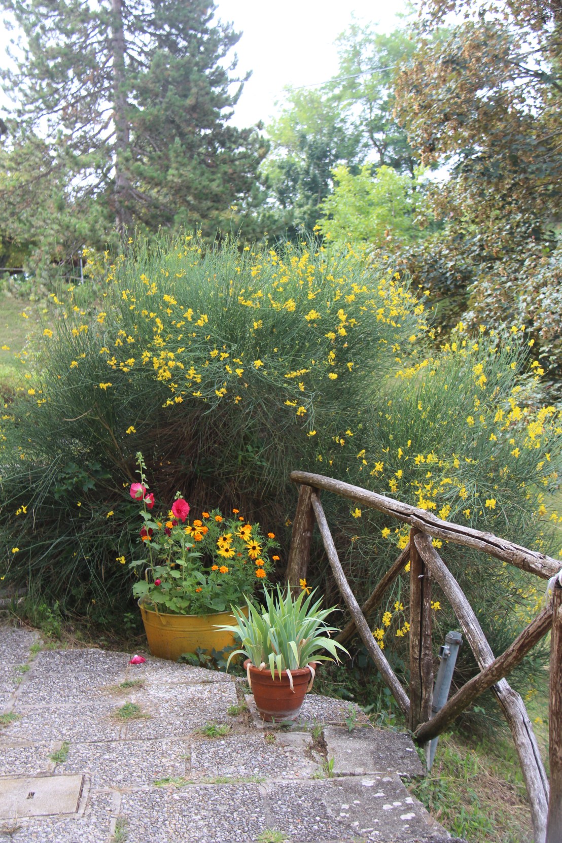 DBBBEB79-7536-4AED-A565-2B765A1DB061