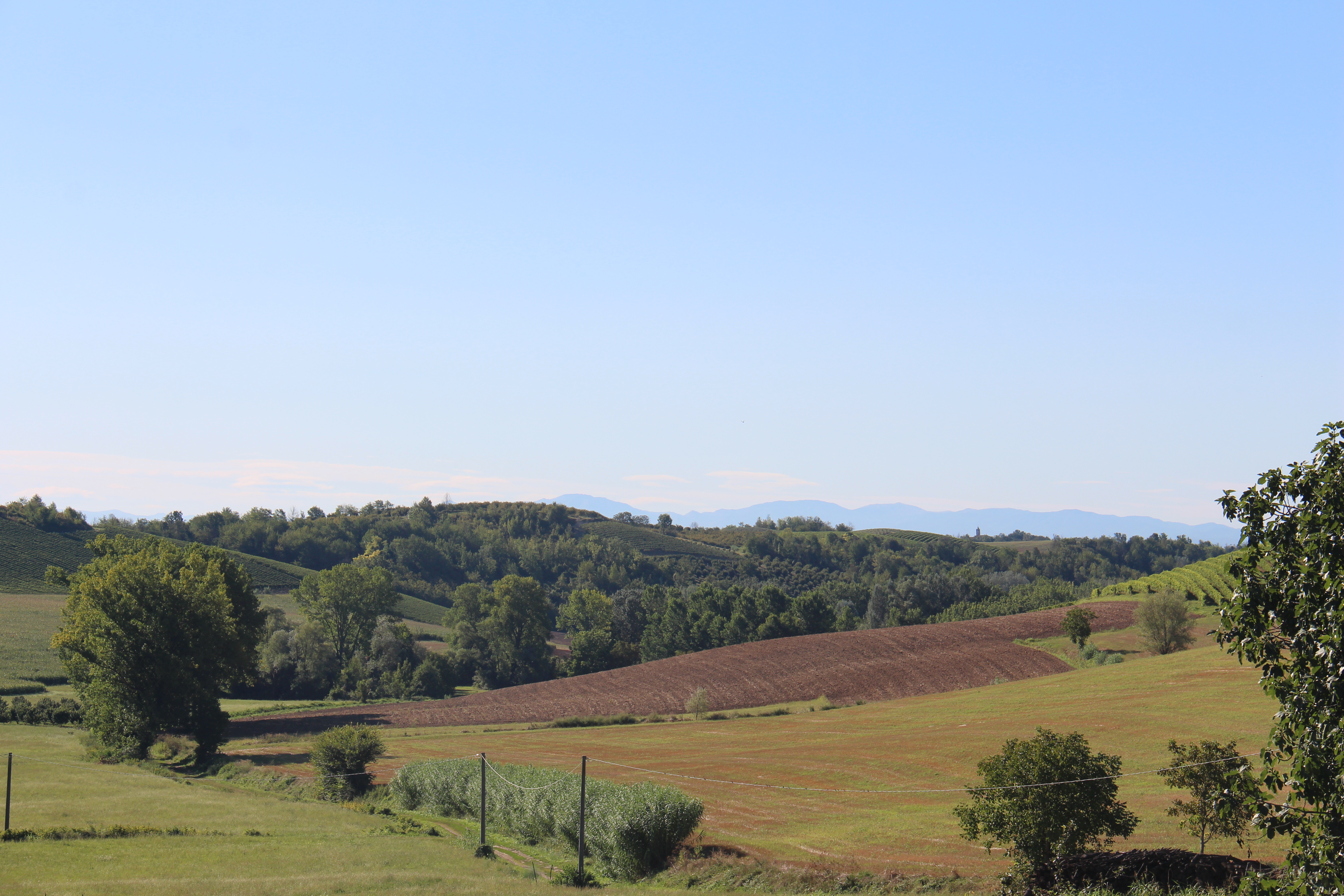 F16B5C89-A4FF-4086-B2F3-36824CCF8543