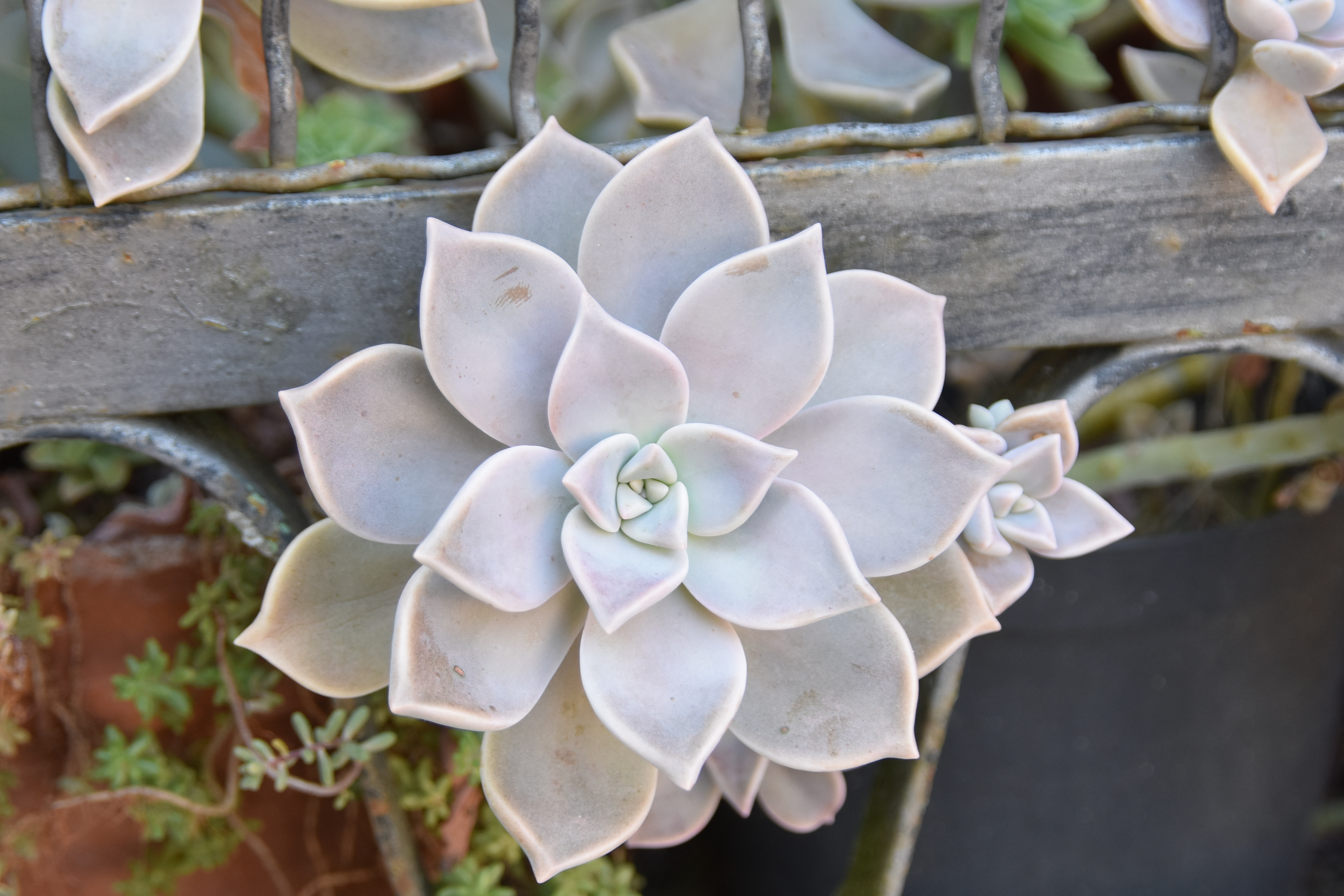 F6A10705-01A1-4980-8290-2FAED67DFB60